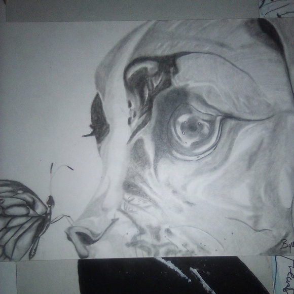 Byron Hall realistic portraits - Picture 2 of 8